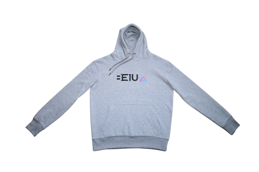 Grey hoodie front view with black BE1U chest text and colour logo