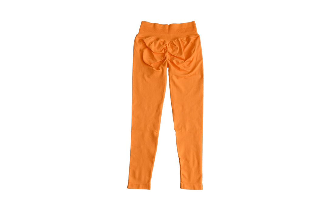 Essenza Scrunch Legging